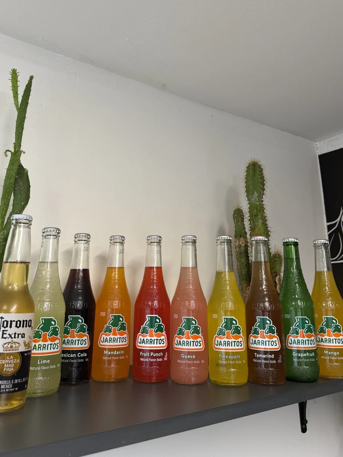 Řada lahví Jarritos a Corona Extra na polici s kaktusy
